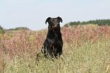 BEAUCERON 214